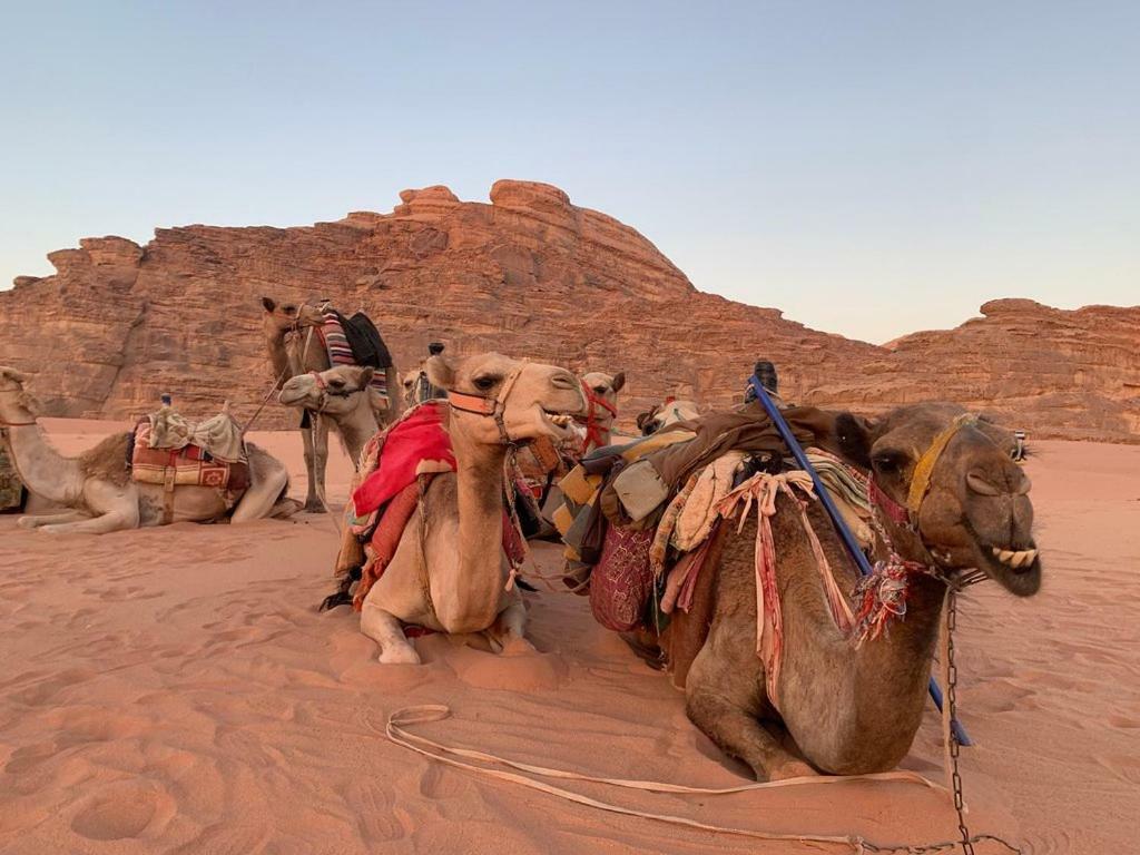 Space Village Luxury Camp Wadi Rum Extérieur photo